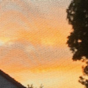 Meet your Posher, Mariam